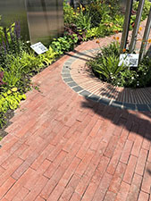 Sculpture garden at RHS Chelsea